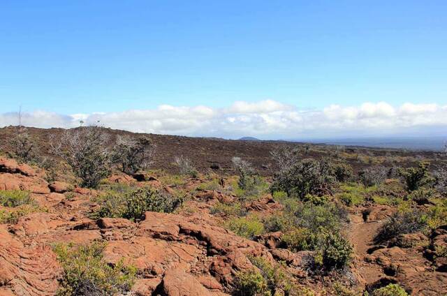 A reddish, rocky trail winding through shrubs with dark lava fields beyond