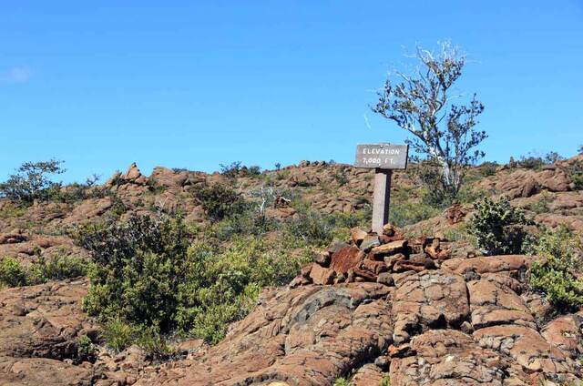 A wooden trail marker reading "Elevation 7,000 FT." along the Mauna Loa Trail