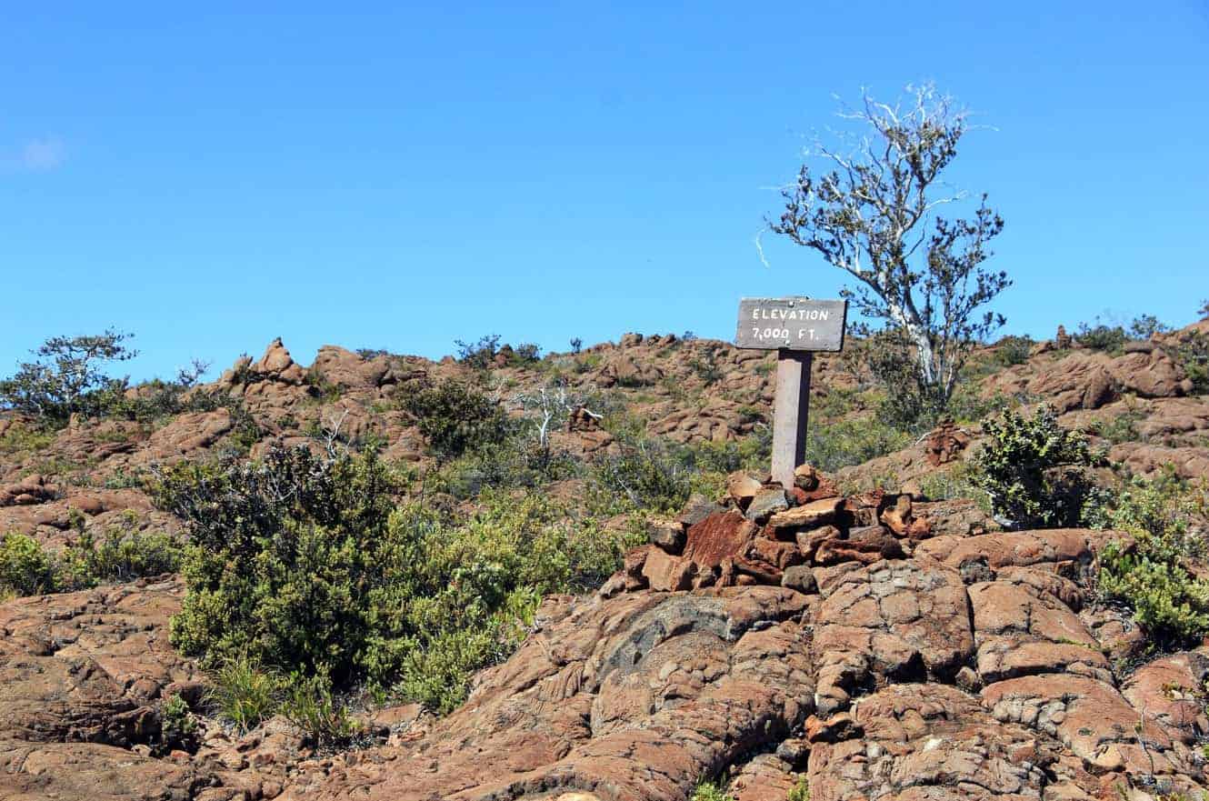A wooden trail marker reading "Elevation 7,000 FT." along the Mauna Loa Trail