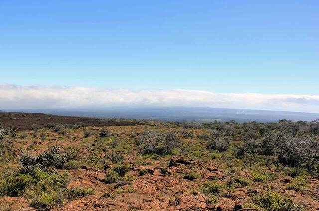 A view across shrubland toward the coast with clouds settling over the horizon