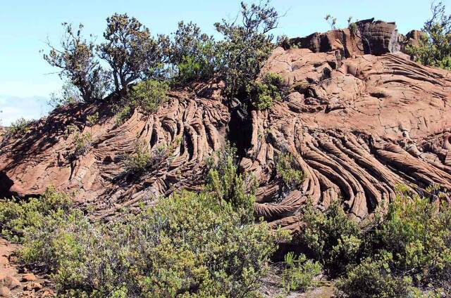 Twisted, ropy pāhoehoe lava formations amid low shrubs