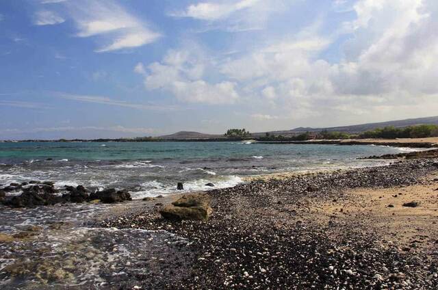 A wide beach cove with distant palm trees and mountains along the coastline