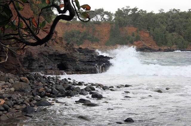 Large waves crashing against dark cliffs beneath overhanging tree branches