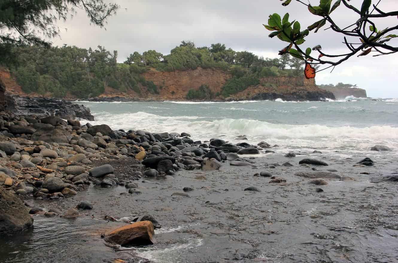 A rocky beach cove framed by tree branches, with waves crashing against distant cliffs