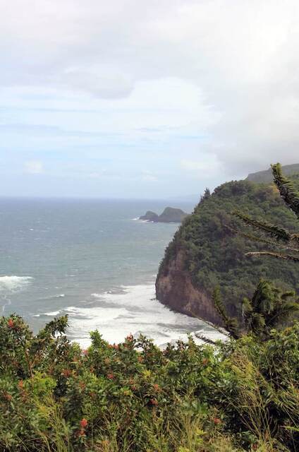 The dramatic sea cliffs and coastline viewed from the Pololu Valley Overlook