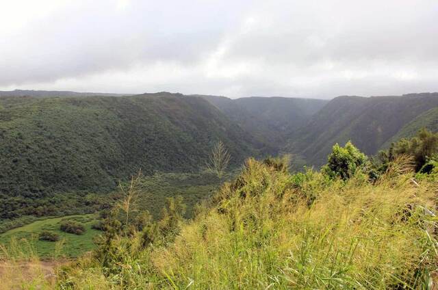 A sweeping view down into the green Pololu Valley from the overlook