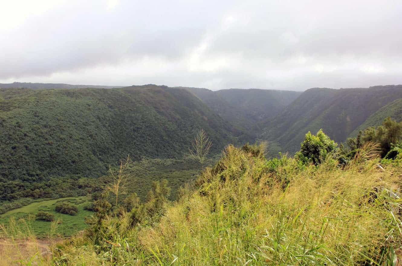 A sweeping view down into the green Pololu Valley from the overlook