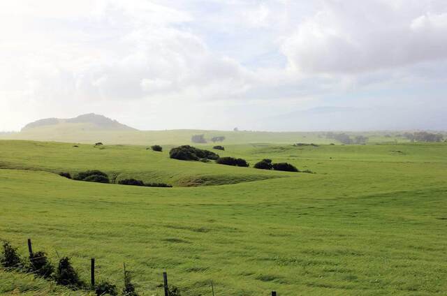 Rolling green pastureland stretching toward the hazy coastline and ocean