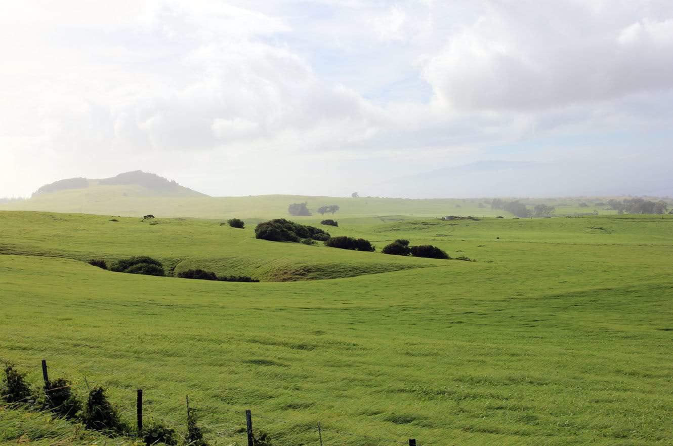 Rolling green pastureland stretching toward the hazy coastline and ocean