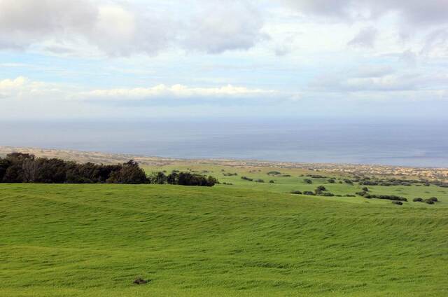 A wide view of green pastureland sloping down toward the distant coastline