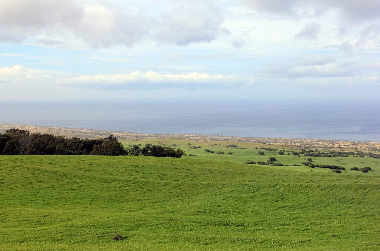 A wide view of green pastureland sloping down toward the distant coastline