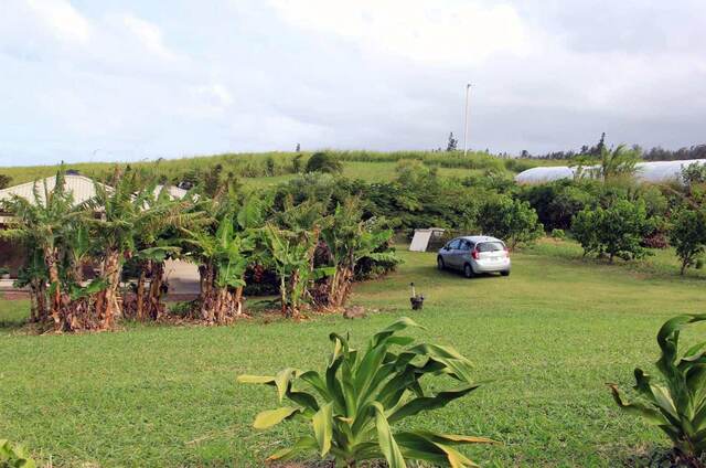 A silver car parked near banana trees and a garden shed, with rolling green hills beyond