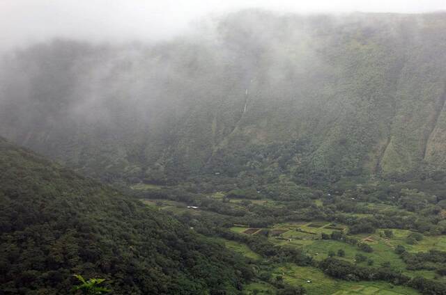 Fog and low clouds drifting over the forested cliffs and taro fields of Waipio Valley