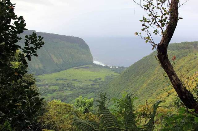 A view down into the green Waipio Valley and its black sand beach from the rim trail