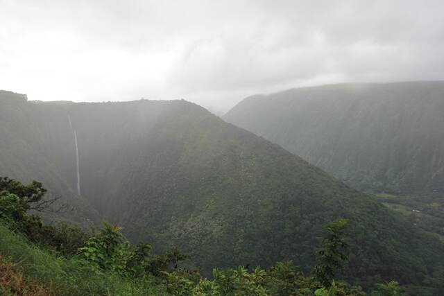A waterfall dropping through the misty, forested cliffs of Waipio Valley