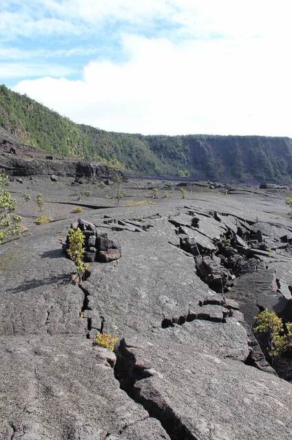 Cracked, textured pahoehoe lava crossing the Kilauea Iki crater floor