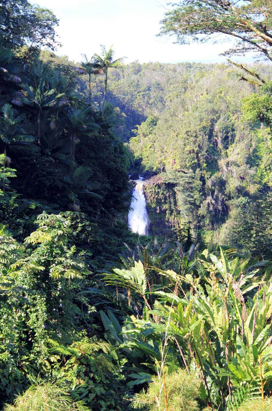 Kahuna Falls dropping through a lush rainforest valley