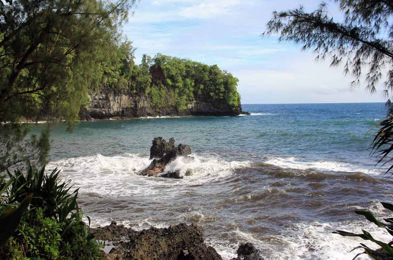 A rocky coastal cove with waves breaking around a lava rock, framed by ironwood trees