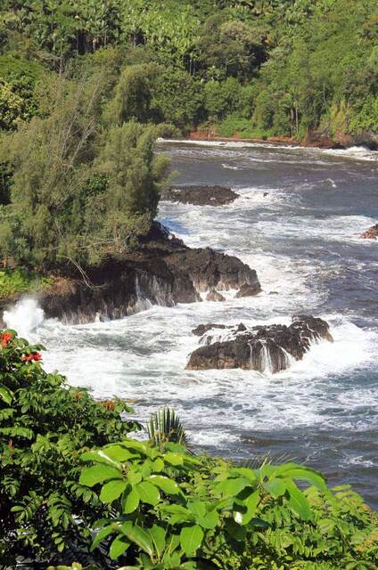 Waves breaking over rocky outcrops along a jungle river mouth at Hawaii Tropical Botanical Garden