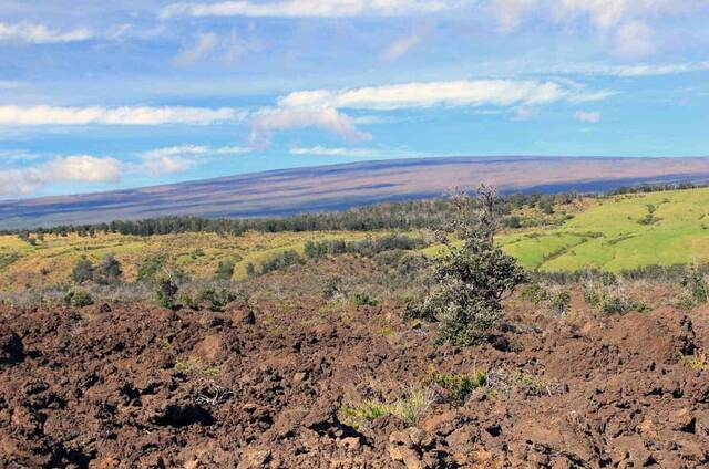 Volcanic terrain of dark lava rock giving way to grassland, with distant mountains