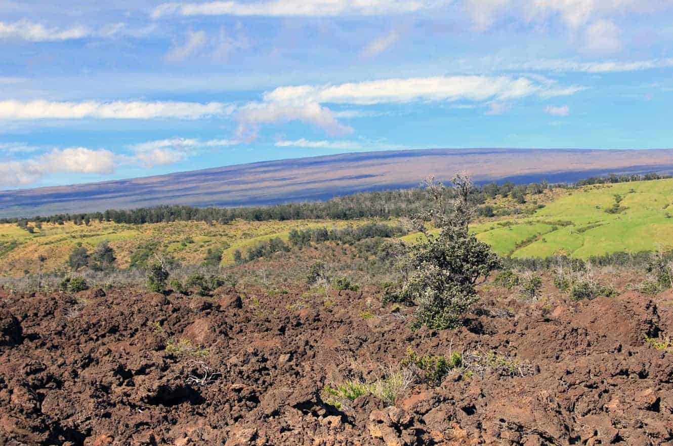 Volcanic terrain of dark lava rock giving way to grassland, with distant mountains
