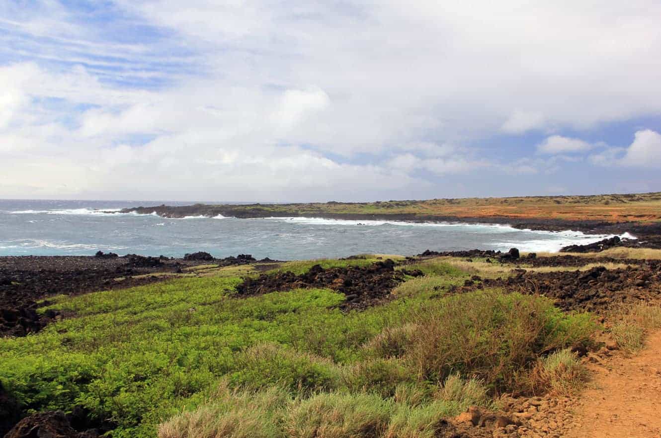 A grassy volcanic bay with waves rolling onto the black lava shoreline