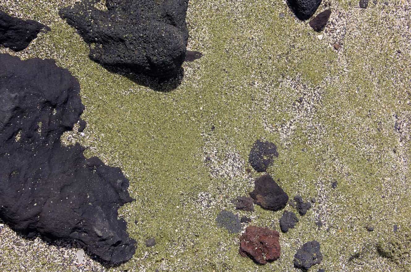 Close-up of the green-tinted olivine sand at Papakolea Green Sand Beach, scattered with black lava pebbles