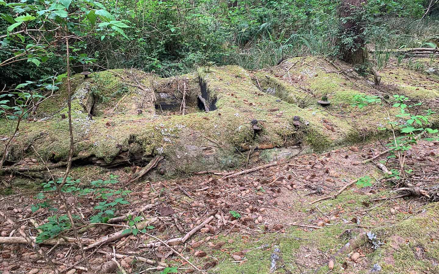 A moss-covered concrete ruin, partially collapsed, tucked in the forest off a horse trail at Cape Blanco State Park