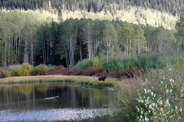 Salt lake — Willow Heights Trail, Big Cottonwood Canyon UT