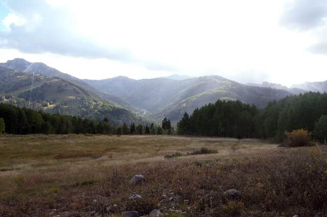 A wide grassy meadow ringed by forest, with Brighton Ski Resort's runs visible on the mountainside in the distance