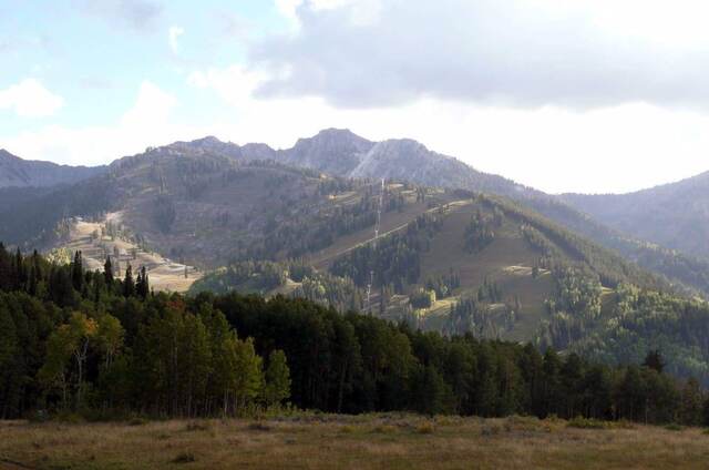 A view over a forested meadow toward Brighton Ski Resort's open runs and chairlift line climbing a rocky peak